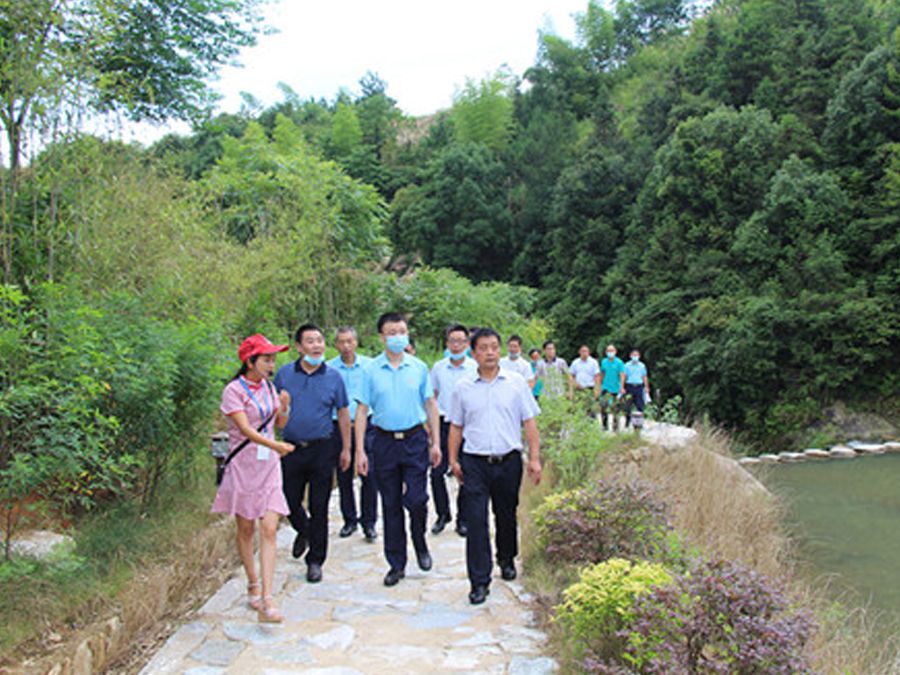 鄂旅投咸寧集團與九宮山管委會聯合組織黨建調研活動，助力鄉村振興發展