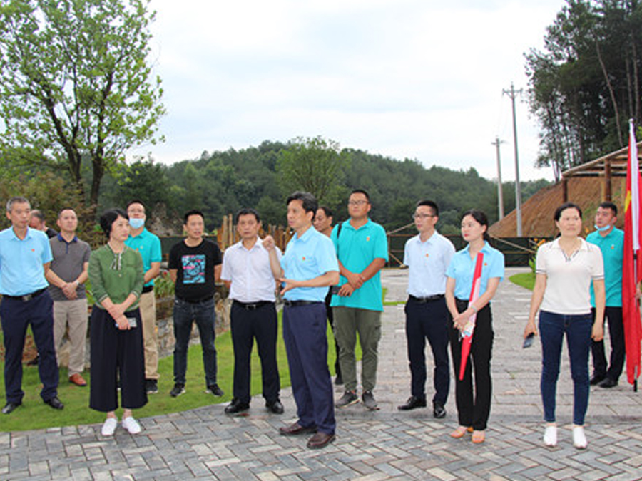 鄂旅投咸寧集團與九宮山管委會聯合組織黨建調研活動，助力鄉村振興發展